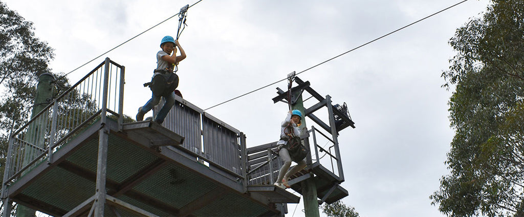 Flying Fox Pulley – heightsafety.com